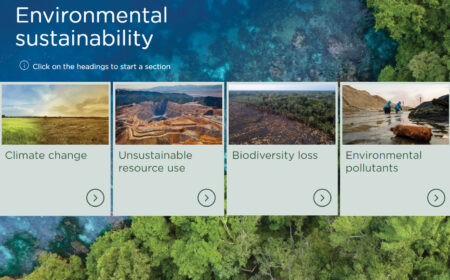 Eng Sustainibility